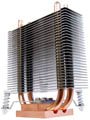  Noctua